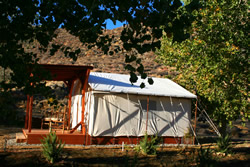 Bishop Tent Cabin for Rent